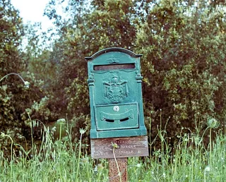 Eine grüne, alte Metall-Postbox umgeben von Pflanzen.