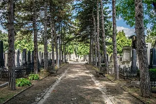 Ein Baumallee mit einem Weg in der Mitte, der zu einem Friedhof führt.